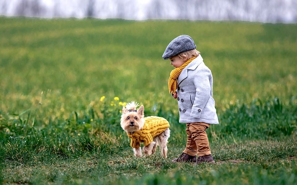 Nằm mơ thấy chó con đi theo