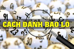 Giải Thích Cách Chơi Bao Số Lô Đề Cực Chuẩn 100%